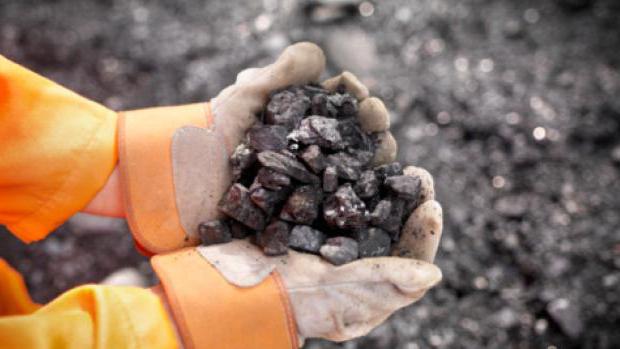 procesu tvorby uhlí