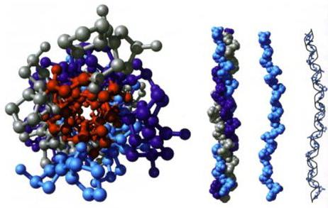 struktura a funkce proteinů