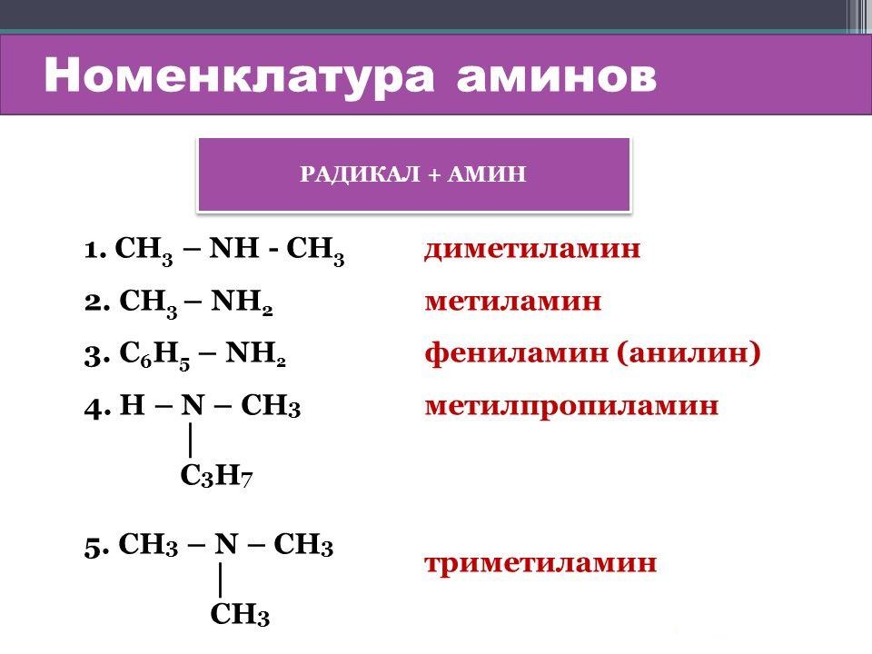 Nomenklatura aminov