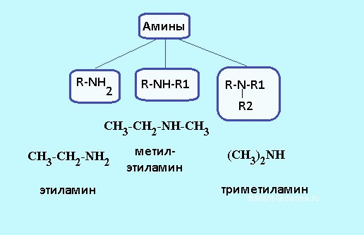 Klasifikacija amina