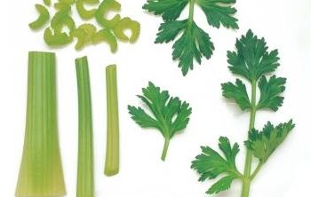 prednosti celera