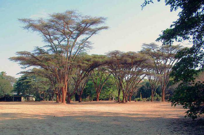 narave Zimbabveja
