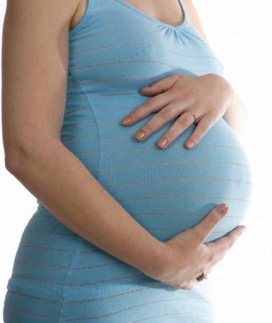 višina maternice po tednih nosečnosti