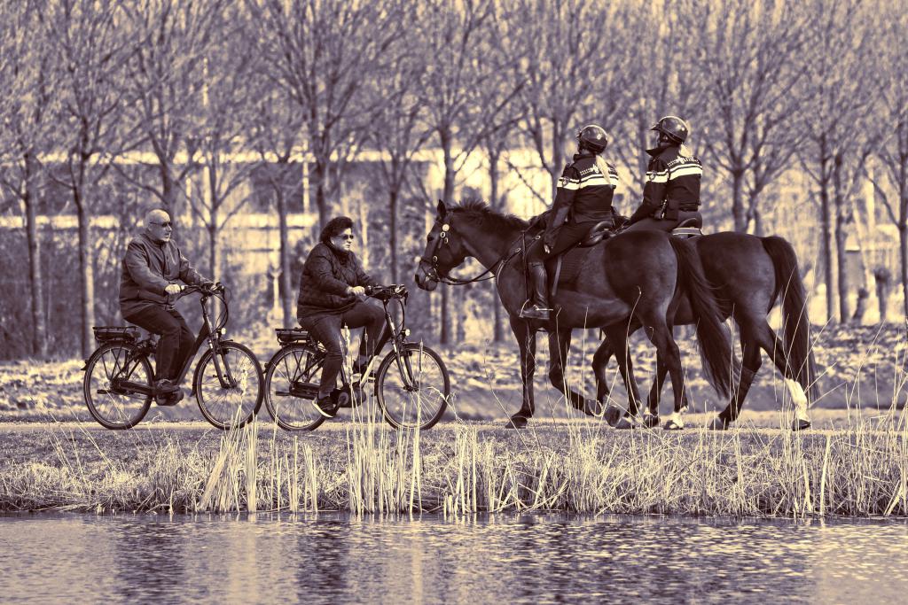 Konjeniki in kolesarji