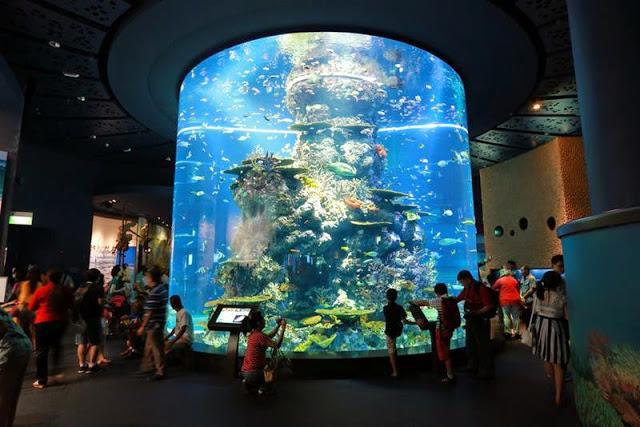 il più grande acquario del mondo
