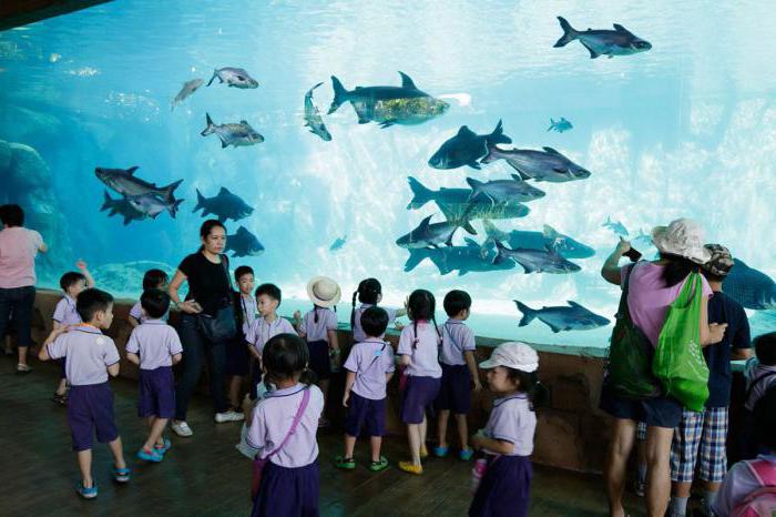 največji akvarij na svetu
