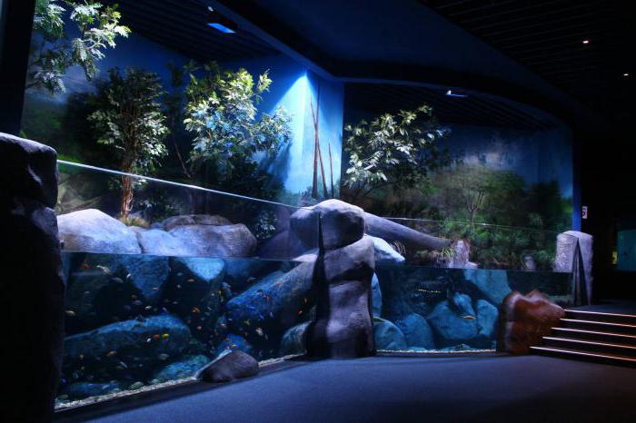 največji akvarij v opisu sveta