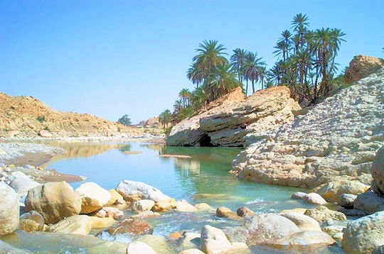 oaze alžirije