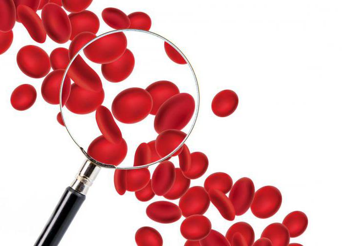značení leukocytů v klinickém krevním testu