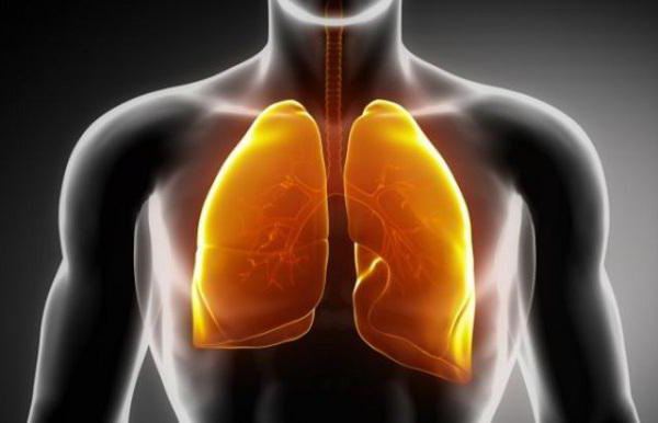 i polmoni di una persona sana e i polmoni del fumatore