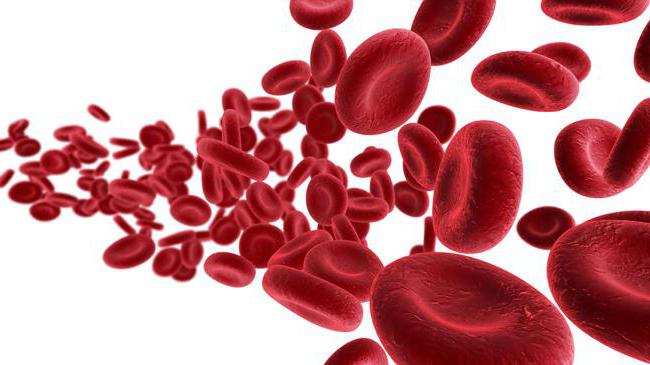 sestava krvi in ​​funkcija oblikovanih elementov