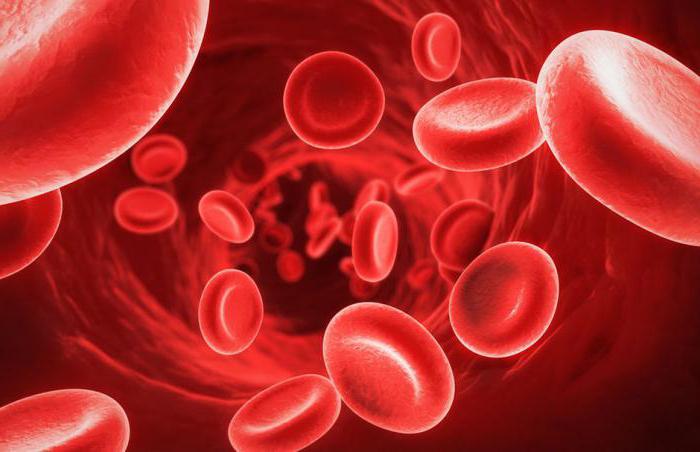 složení krevních vlastností a funkcí