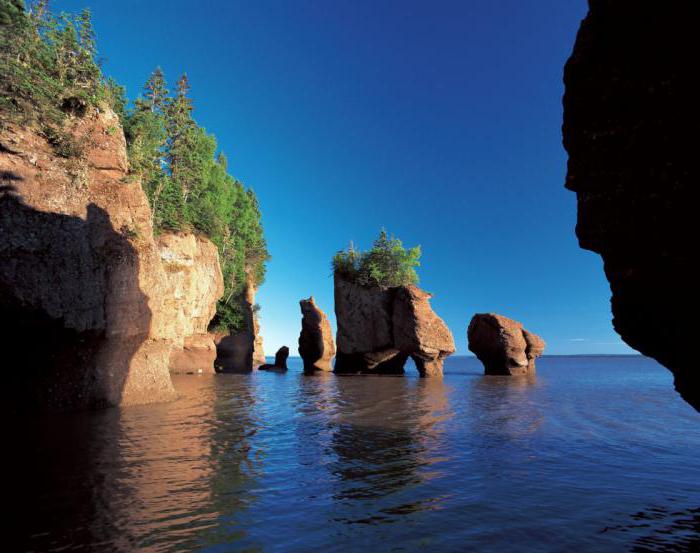 Bay of Fundy Канада