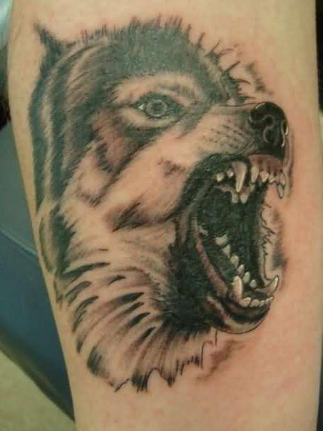 tatuaż wilk grin znaczenie