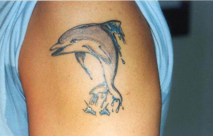 tattoo delfin peš
