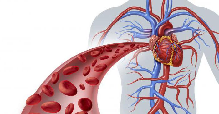 prekrvavitev krvnega tlaka skozi žile