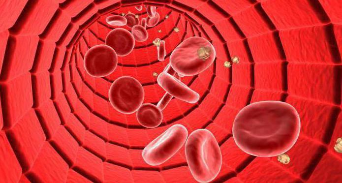 dejavniki, ki zagotavljajo premikanje krvi skozi žile