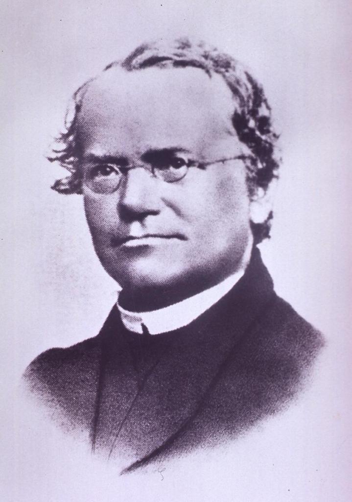 Genetičar Gregor Mendel