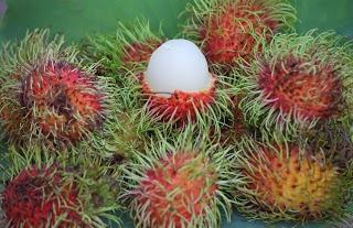 plody Thajska