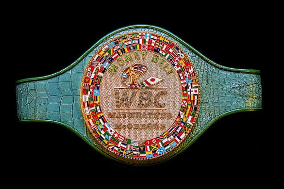 Cintura unica WBC Money Belt