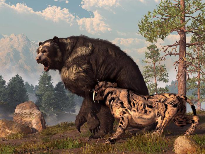 prehistoryczne niedźwiedzie drapieżniki