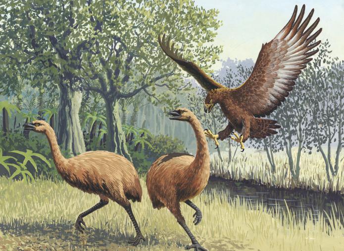 prazgodovinske ptice plenilci