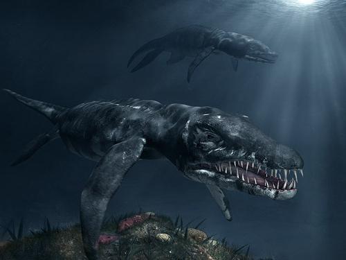 predatori preistorici megalodon