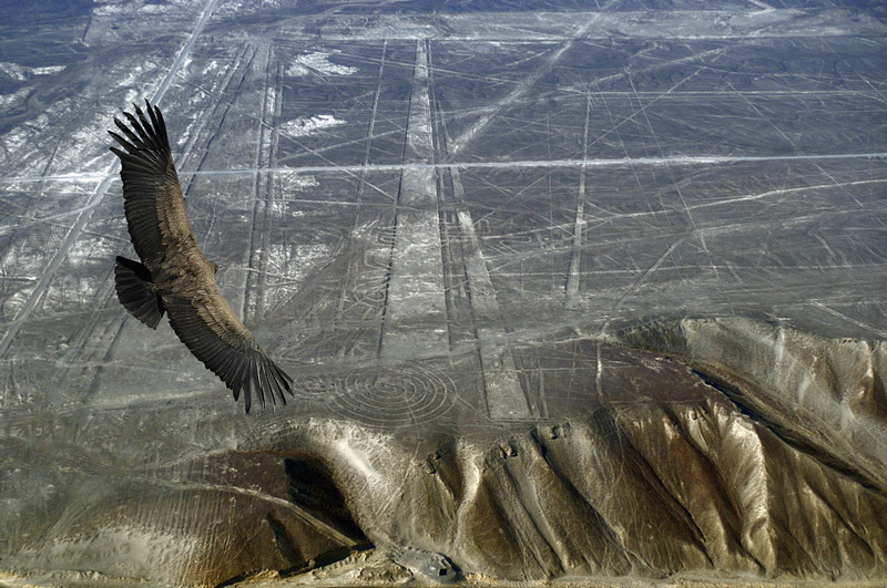 Pustynia Nazca