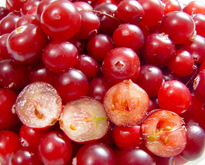 Cranberry Užitečné vlastnosti