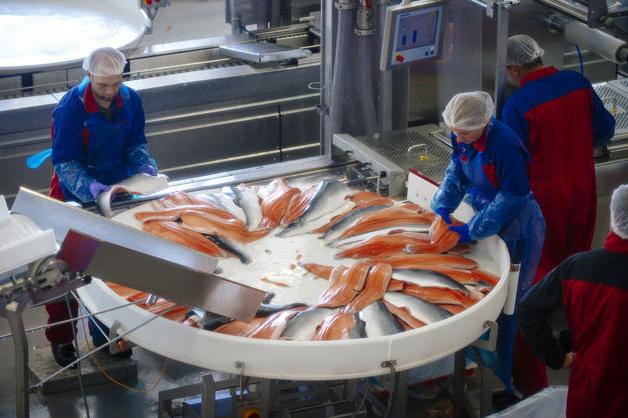 забранити норвешки лосос