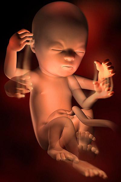 fetální pohyb během druhého těhotenství jak často