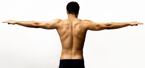мускулите на раменния пояс