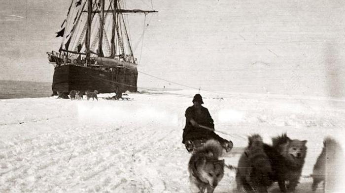 który pierwszy dotarł do bieguna południowego