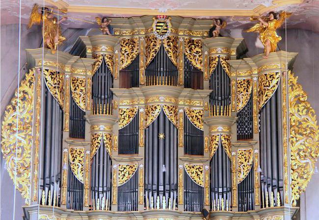 La storia dell'organo di uno strumento musicale