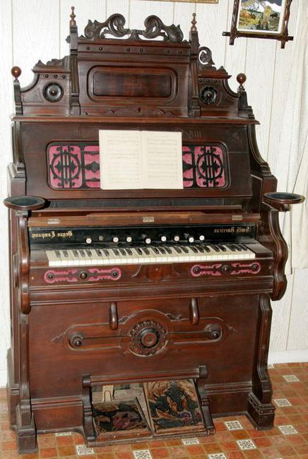 Descrizione dell'organo di uno strumento musicale