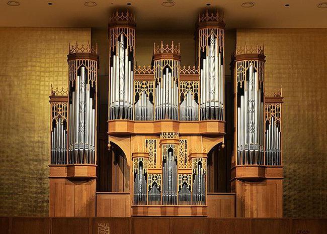 Organowy instrument muzyczny
