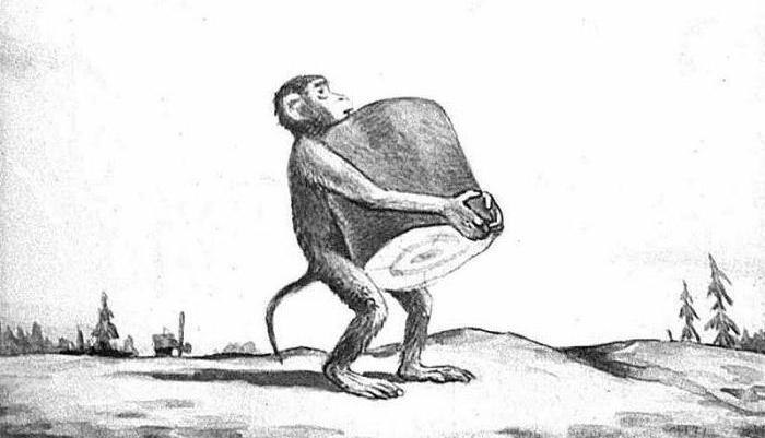 znaczenie pracy małpy
