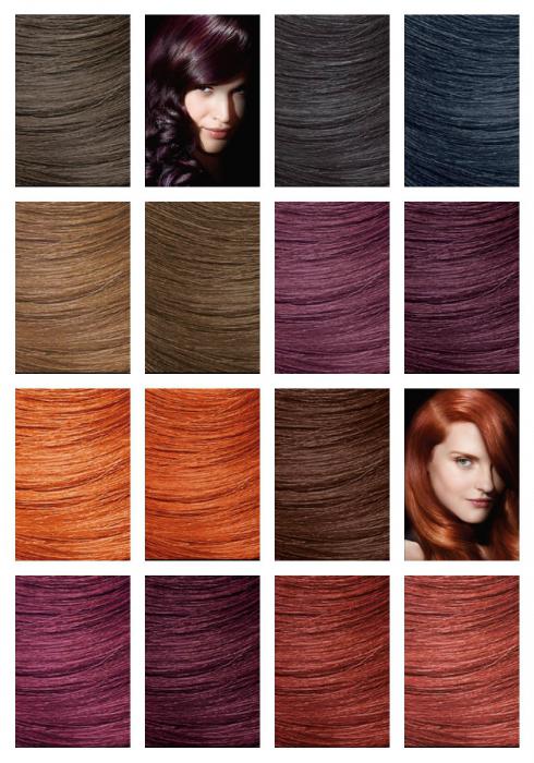 Matrix palette farbuje włosy