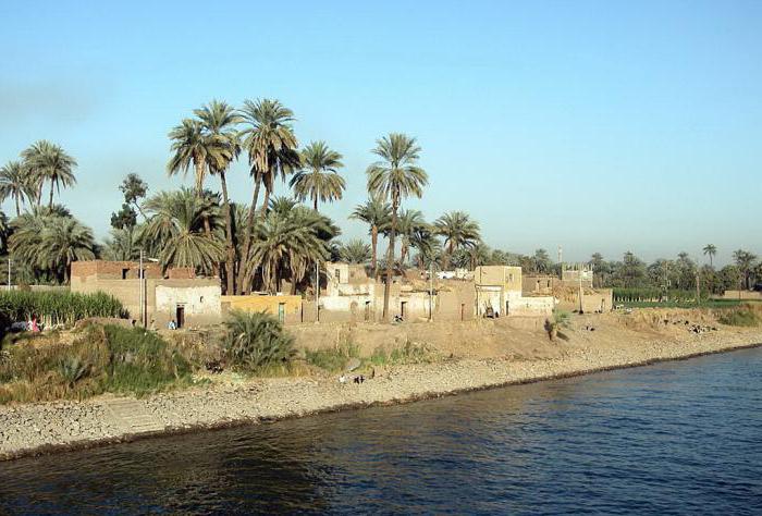 starożytna populacja Egiptu