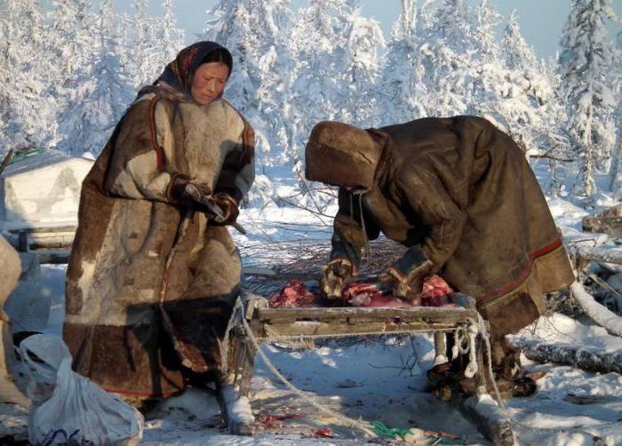 původních obyvatel Sibiře