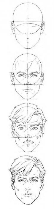 пропорции на схемата за рисуване на човешко лице