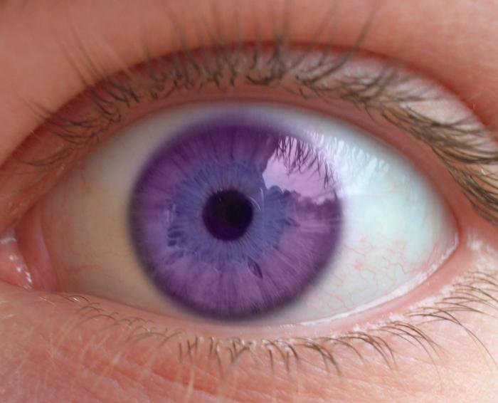 Najrzadszy kolor oczu jest purpurowy.