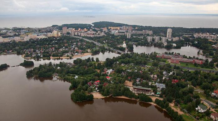 Area del resort di San Pietroburgo