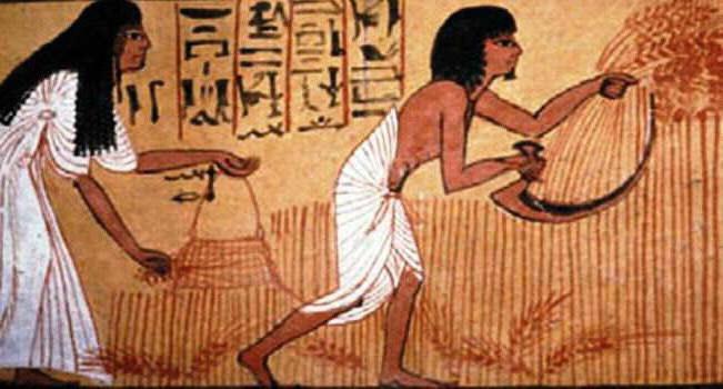 социална политическа структура на древен Египет