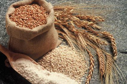 оно што је корисно пшенична каша