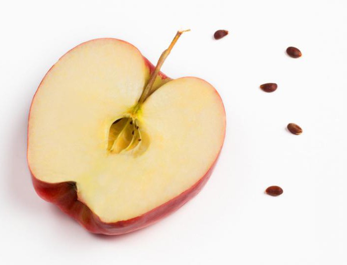 studiare la struttura della zucca di semi di mela o