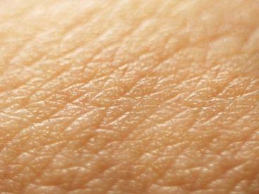 структура на кожата