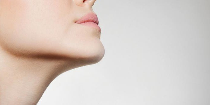 struttura della gola umana