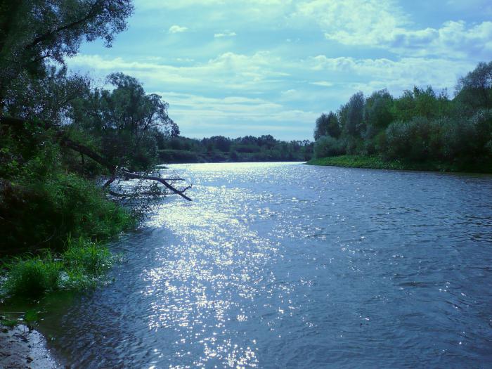 řeka sura