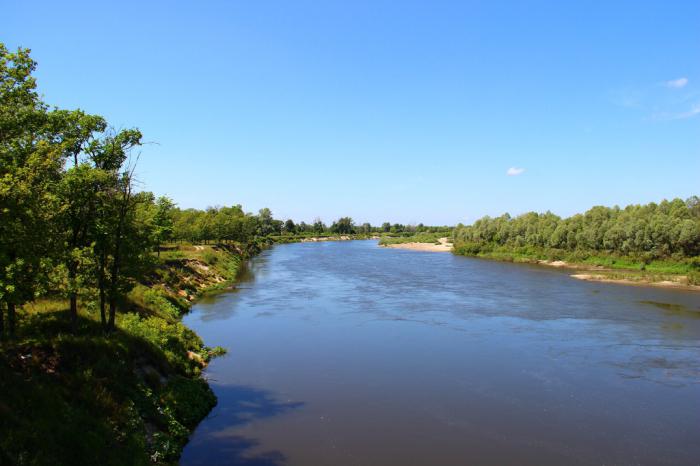 zdjęcie rzeki Sura